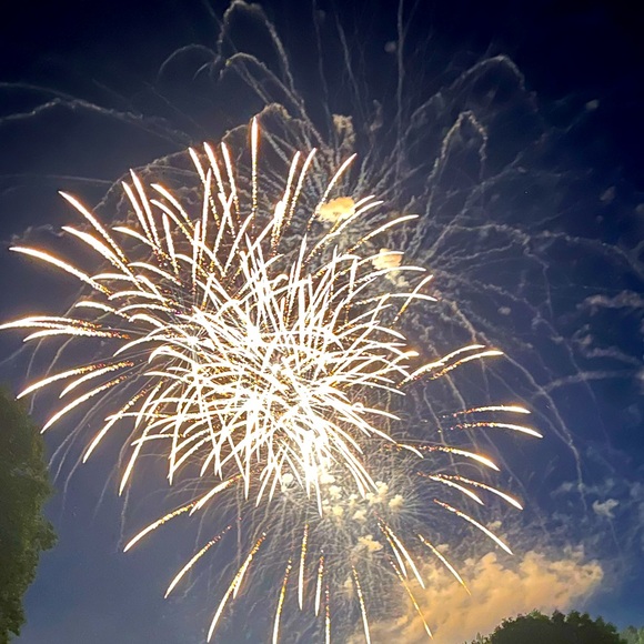 Meet your Posher, Cleo - Picture 1 of 1